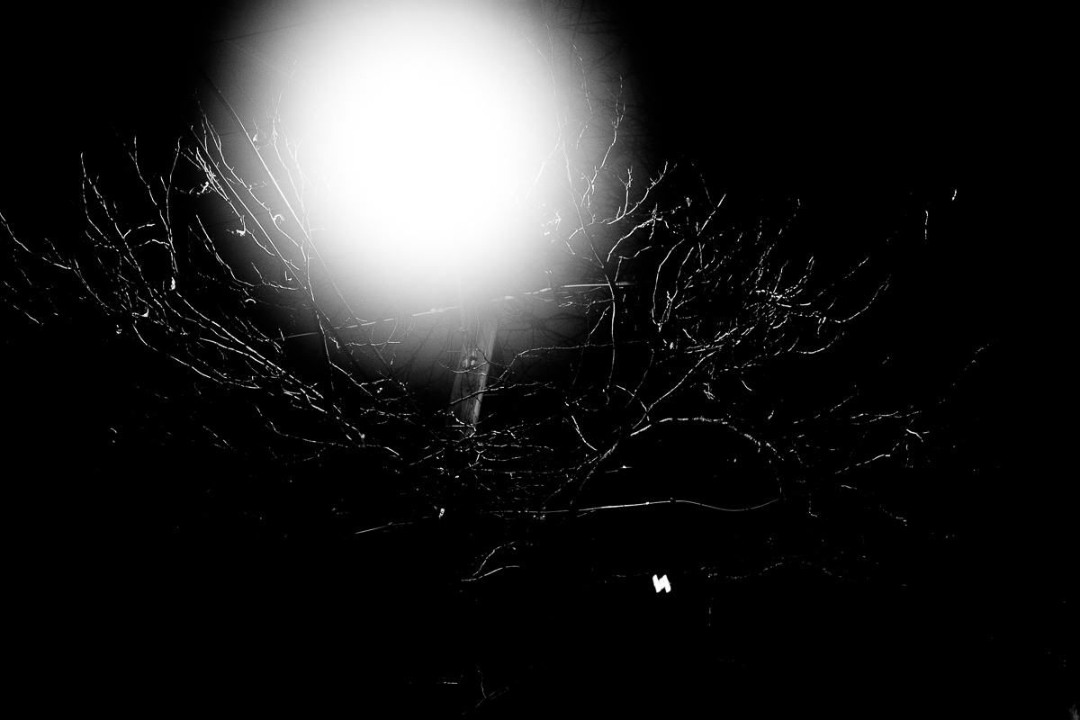 Streetlight tree